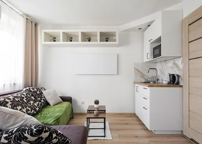 Park Grabiszynski Standard By Bookinghost